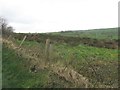 Heath land west of the Carrowmannan Road