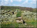 Stile on Holmfirth FP58/4 at Back Lane, Upperthong