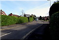 Hedges and houses, Hilary Gardens, Axminster