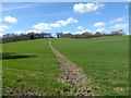 Footpath to Provender Farm