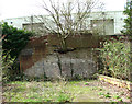 Tree growing through retaining wall