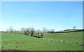 Grazing land north of the A25 (Newry Road)