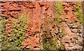 Red Sandstone cliff/cutting