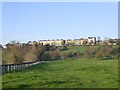 The Terrace, Richmond Hill, seen from Petersham Meadows