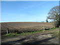 Ploughed field on the west side of the A25