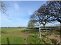 Field SE of Lower Stanton St Quintin