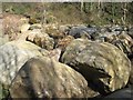 A collection of erratic boulders