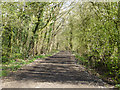 Public byway towards Upper Minety