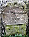 Old Milestone by the A361, North of Cloford