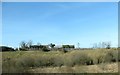 Wet land next to the A25