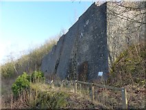 SK1473 : Lime kilns at Millers Dale by Dave Dunford