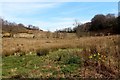 Rough grazing at Portkil Farm