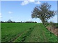 Footpath Looking West