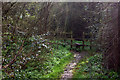 Stile on path towards Banbury Road