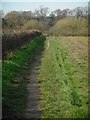 Footpath to the River Bollin