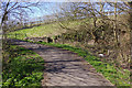 Potteries Loop Line at Mount Road, Kidsgrove