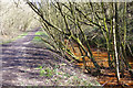 Former Potteries Loop Line east of Kidsgrove