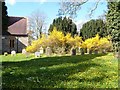 Blooming churchyard