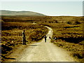 H1132 : Cuilcagh Legnabrothy Trail by Kenneth  Allen