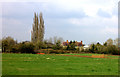 Middle Wretchwick farm from across the field