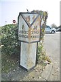 Old Milepost by the A35, Somerford