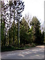 Line spur pole alongside the B4233, Hendre, Monmouthshire