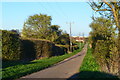 On the Saxon Shore Way near Cockham Cottages