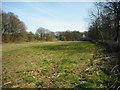 Grassy area north east of the River Bollin