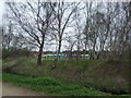 Trees beside the River Leen