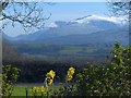 Snow on Snowdon