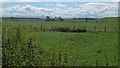 Farmland near Southgate