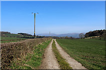 SD5875 : Farm Track leading North to West Hall Farm by Chris Heaton