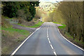 SO1140 : A470 at Stockley Wood by David Dixon