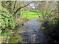 River Eye Upper Slaughter