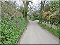 North Chideock, Hounsells Cross