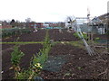 Allotments - Mill Hill Lane