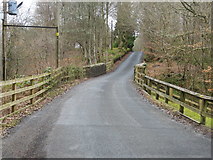 NY9549 : Road and Bridge crossing Bolts Burn near Low Garden House by Peter Wood