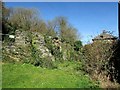 SX1454 : Ruined cottage by Penpoll Mill by Derek Harper