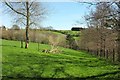 Fields near Pennant