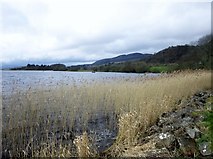 NN5801 : Lake of Menteith by Euan Nelson