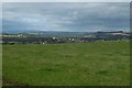 Hilltop pasture, Woodhead