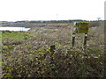 Looking across quarry from bridleway