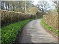 Pond Head Lane going north