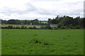 Field, Murraythwaite