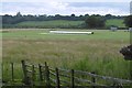 Cricket pitch, Dalton