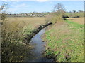 Stream view towards Wareside