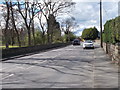 Carlton Road - viewed from Royston Lane