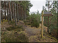 Footpath signpost in Wester Balblair Wood