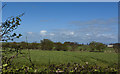 Fields north of the A583