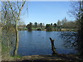 Fishing lake, Barton-under-Needwood